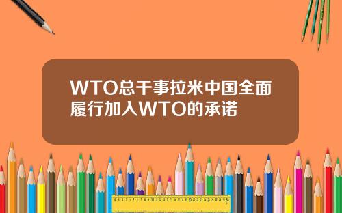 WTO总干事拉米中国全面履行加入WTO的承诺