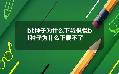 bt种子为什么下载很慢bt种子为什么下载不了