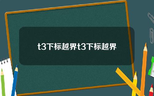 t3下标越界t3下标越界