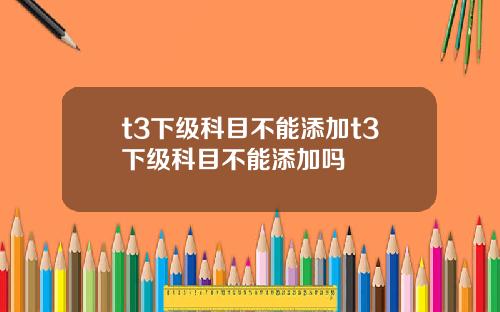 t3下级科目不能添加t3下级科目不能添加吗
