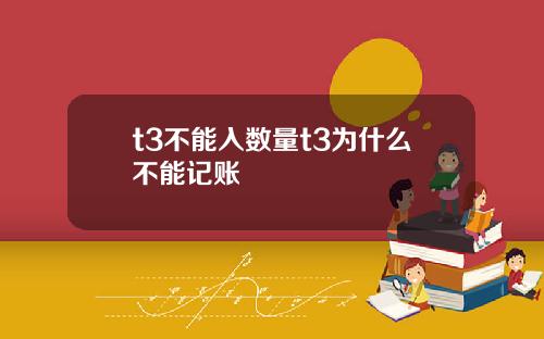 t3不能入数量t3为什么不能记账