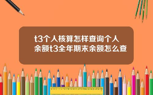 t3个人核算怎样查询个人余额t3全年期末余额怎么查