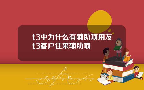 t3中为什么有辅助项用友t3客户往来辅助项