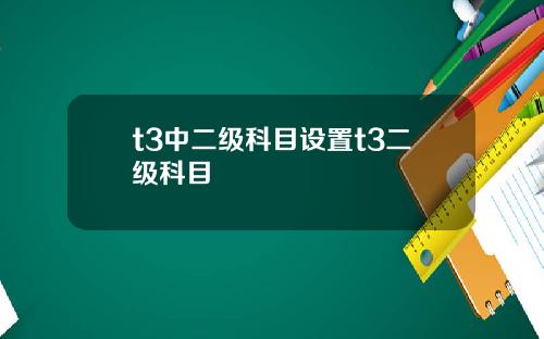 t3中二级科目设置t3二级科目