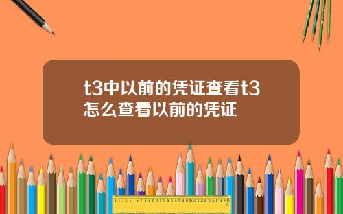 t3中以前的凭证查看t3怎么查看以前的凭证