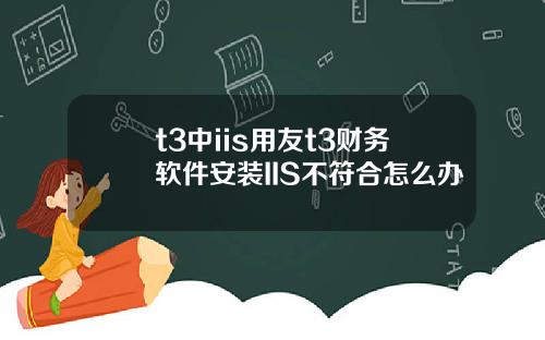 t3中iis用友t3财务软件安装IIS不符合怎么办
