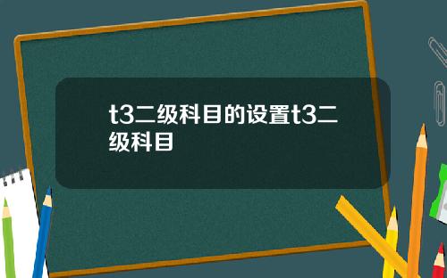 t3二级科目的设置t3二级科目