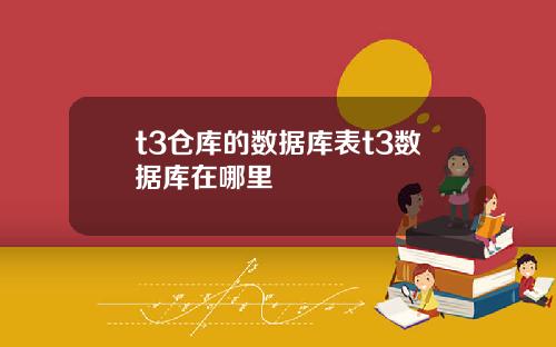 t3仓库的数据库表t3数据库在哪里