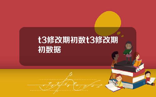 t3修改期初数t3修改期初数据