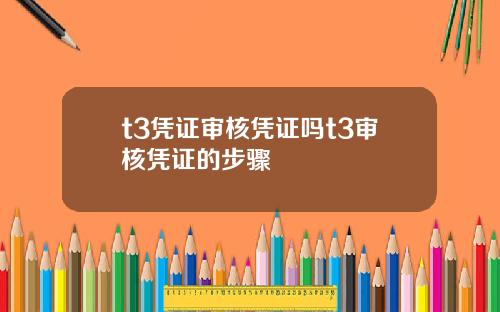 t3凭证审核凭证吗t3审核凭证的步骤