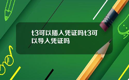 t3可以插入凭证吗t3可以导入凭证吗