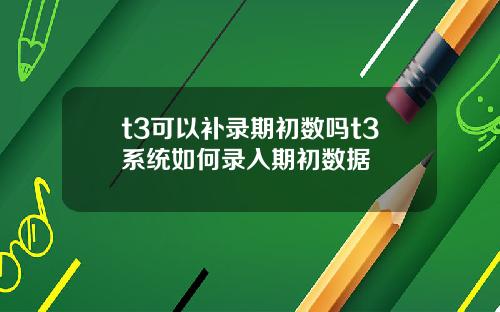 t3可以补录期初数吗t3系统如何录入期初数据