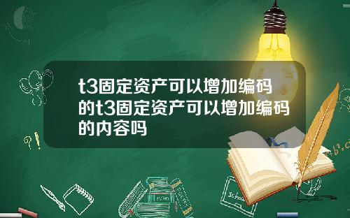 t3固定资产可以增加编码的t3固定资产可以增加编码的内容吗