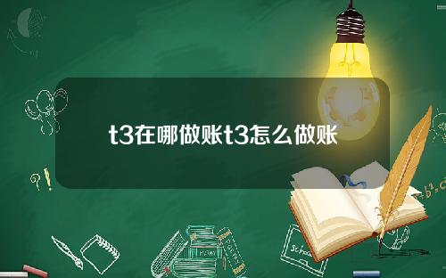 t3在哪做账t3怎么做账