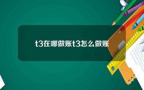 t3在哪做账t3怎么做账