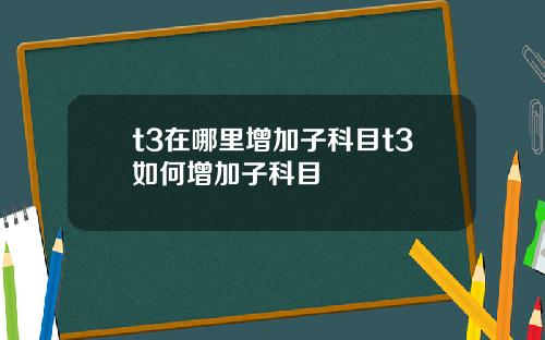 t3在哪里增加子科目t3如何增加子科目