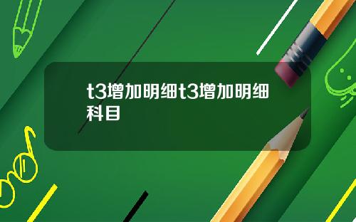t3增加明细t3增加明细科目