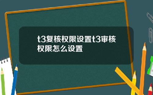 t3复核权限设置t3审核权限怎么设置
