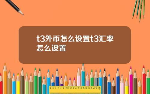 t3外币怎么设置t3汇率怎么设置