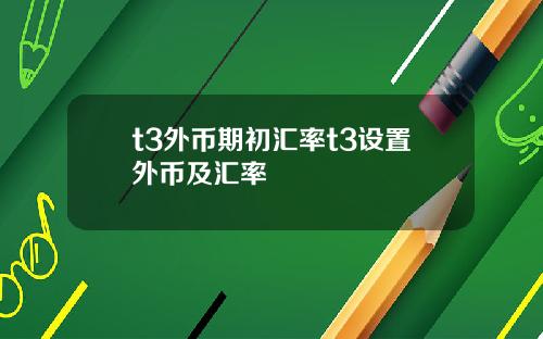 t3外币期初汇率t3设置外币及汇率