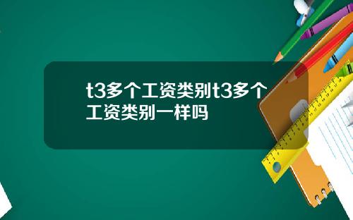 t3多个工资类别t3多个工资类别一样吗