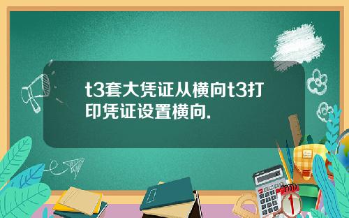 t3套大凭证从横向t3打印凭证设置横向.
