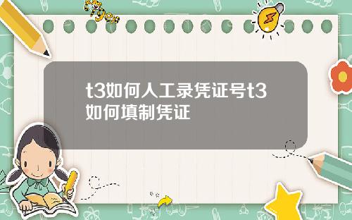 t3如何人工录凭证号t3如何填制凭证