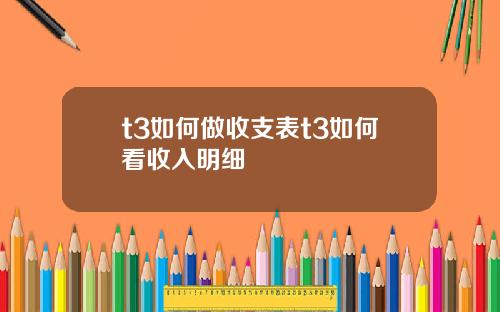 t3如何做收支表t3如何看收入明细