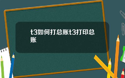 t3如何打总账t3打印总账