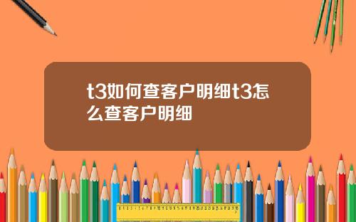 t3如何查客户明细t3怎么查客户明细