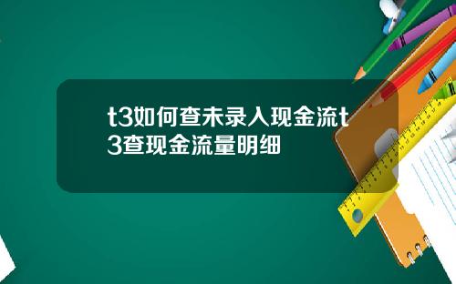 t3如何查未录入现金流t3查现金流量明细