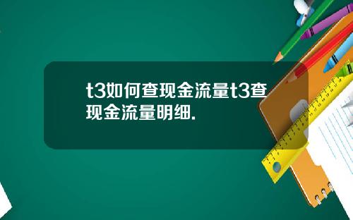 t3如何查现金流量t3查现金流量明细.