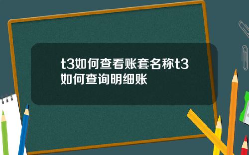 t3如何查看账套名称t3如何查询明细账
