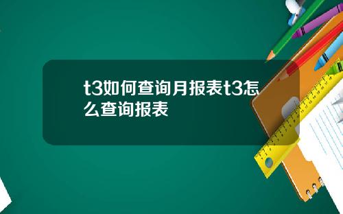 t3如何查询月报表t3怎么查询报表