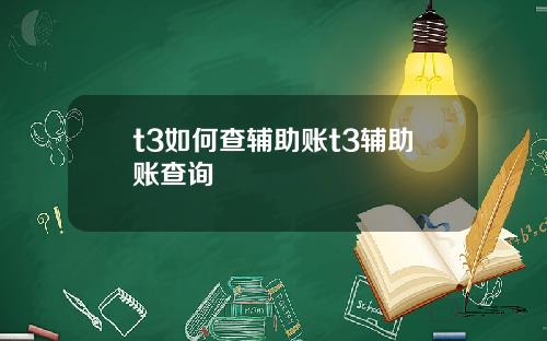 t3如何查辅助账t3辅助账查询