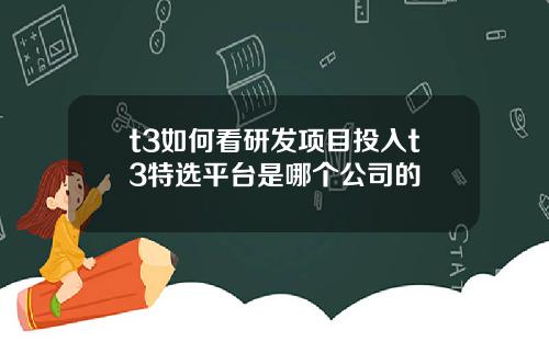 t3如何看研发项目投入t3特选平台是哪个公司的