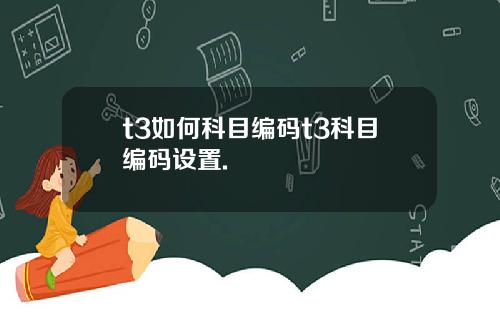 t3如何科目编码t3科目编码设置.