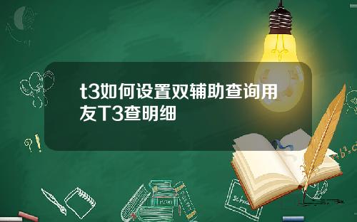 t3如何设置双辅助查询用友T3查明细