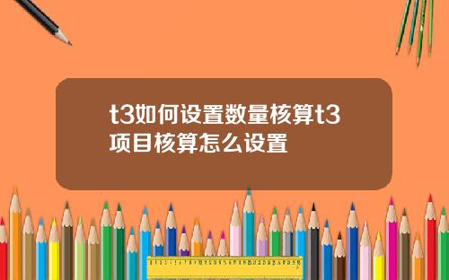 t3如何设置数量核算t3项目核算怎么设置