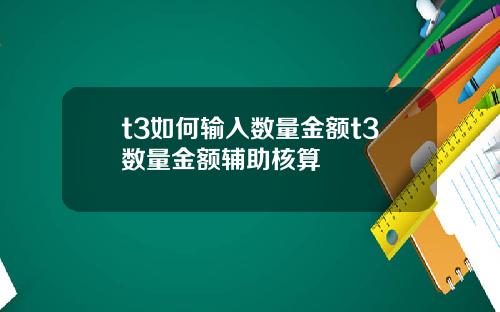 t3如何输入数量金额t3数量金额辅助核算