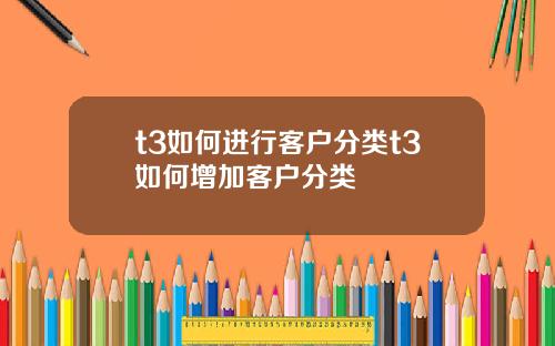 t3如何进行客户分类t3如何增加客户分类