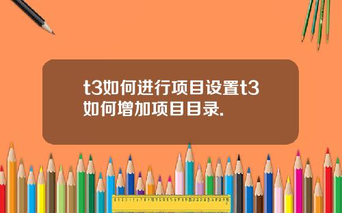 t3如何进行项目设置t3如何增加项目目录.