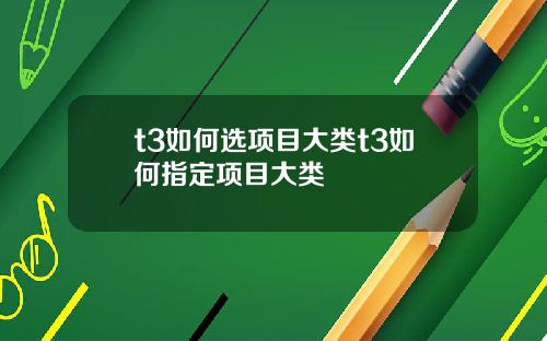 t3如何选项目大类t3如何指定项目大类