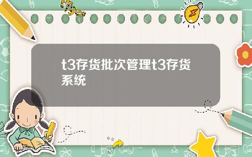 t3存货批次管理t3存货系统