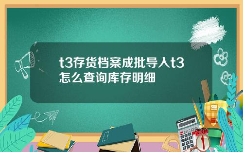 t3存货档案成批导入t3怎么查询库存明细