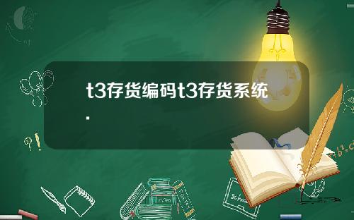 t3存货编码t3存货系统.