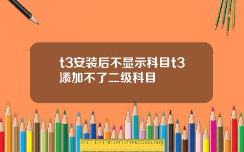 t3安装后不显示科目t3添加不了二级科目