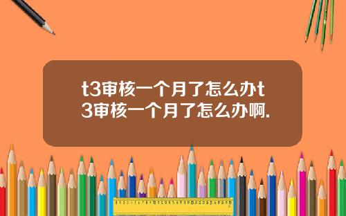 t3审核一个月了怎么办t3审核一个月了怎么办啊.