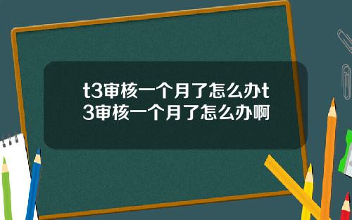 t3审核一个月了怎么办t3审核一个月了怎么办啊