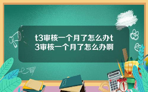 t3审核一个月了怎么办t3审核一个月了怎么办啊
